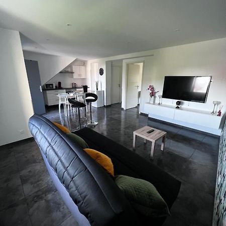 Superbe Appartement Danjoutin Екстер'єр фото