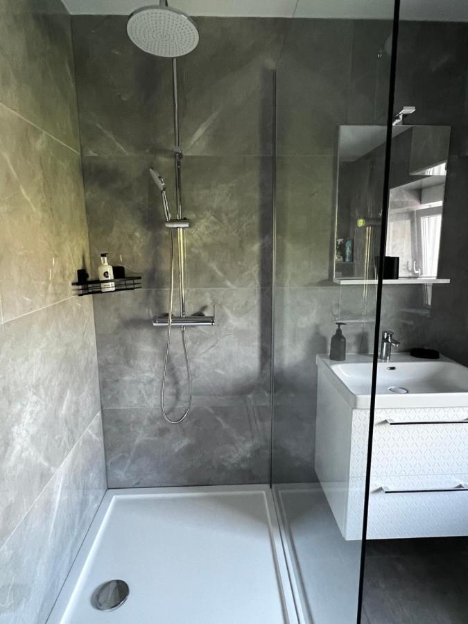 Superbe Appartement Danjoutin Екстер'єр фото