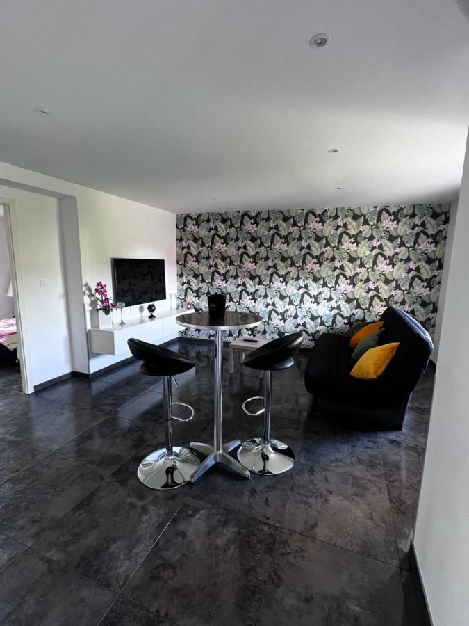 Superbe Appartement Danjoutin Екстер'єр фото