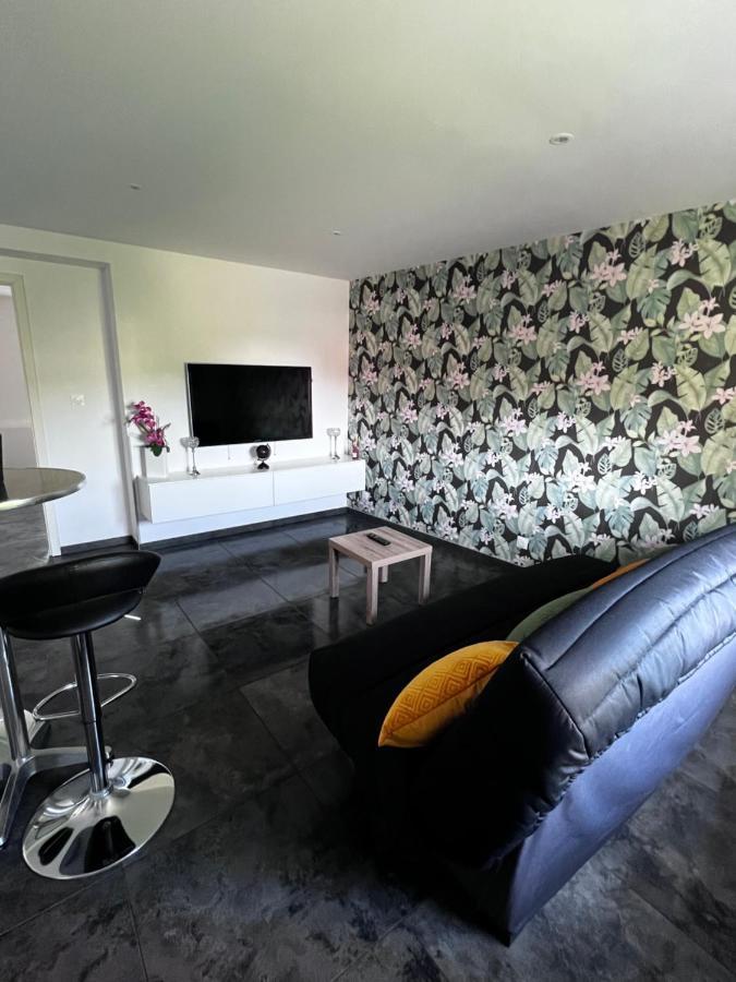 Superbe Appartement Danjoutin Екстер'єр фото